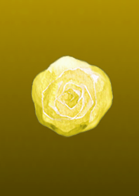 シンプルローズ3