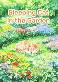 แมวหลับในสวนดอกไม้