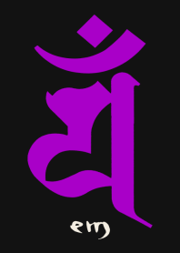 BONJI [eM] BLACK PURPLE (0685
