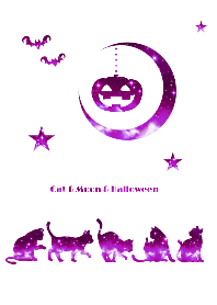 Cat & Moon & Halloween WP