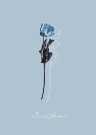 Dried flower_relax time_05