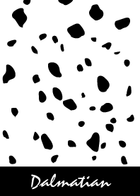 Dalmatian -Black-