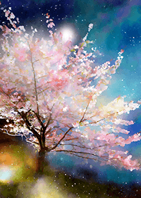 Beautiful night cherry blossoms#602