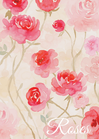 white薔薇の夢01