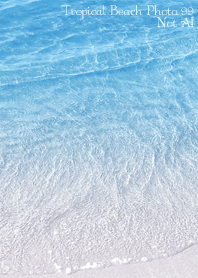 Tropical Beach Photo 99 Not AI