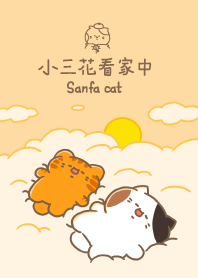 小三花看家中Sanfa cat-懶貓曙光