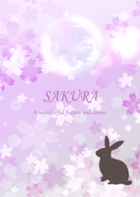 Cherry blossoms to increase your luck23