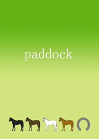 Racehorse paddock