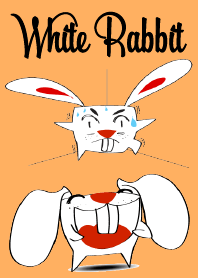 A Cute White Rabbit