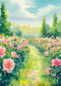 Beautiful rose flower(R4927)