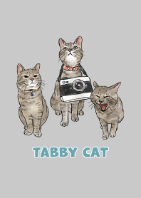 tabbycat11 - gray