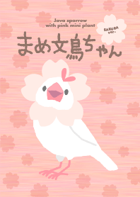 Java sparrow with pink plant -Spring-