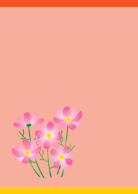 ピンクの秋桜 赤と黄色