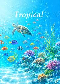 Happy tropical sea6