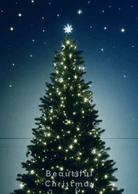 Beautiful Christmas-BLUE NIGHT- 11