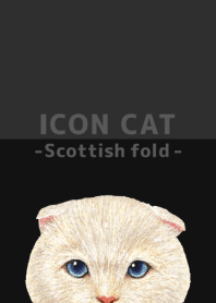 ICON CAT - Scottish fold - BLACK/02