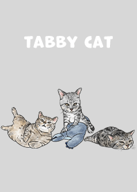 tabbycat5 / light grey
