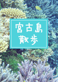 宮古島散歩
