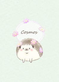 Hedgehog and Cosmos -green-
