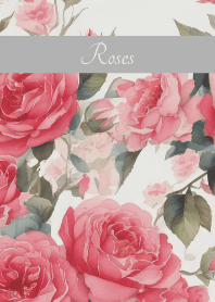Noble Roses on white