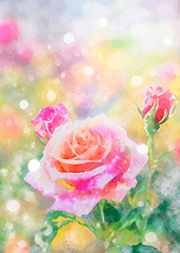 Beautiful rose flower(R2932)