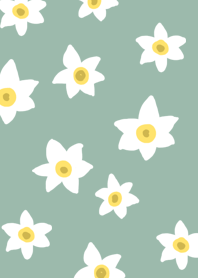 Narcissus white flower