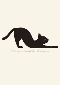 - cat -