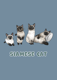 siamesecats3 / pale denim