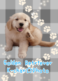 ゴールデンレトリバーのKちゃん☆Photo足跡