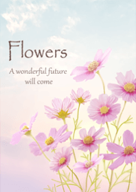 The gentle scent of cosmos1