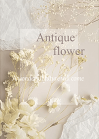 アンティークフラワーに囲まれる空間で1