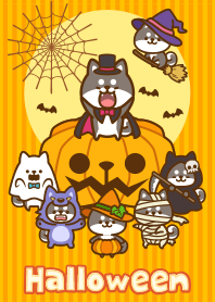プチしばのハロウィン（黒柴）