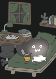 night cat