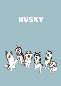 husky1 - sea blue