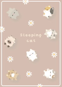 brown Sleeping cute cat 02_2