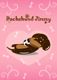 Dachshund Jimmy