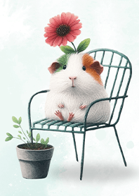 Guinea Pig in the Little Garden