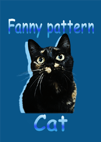 Funny pattern cat