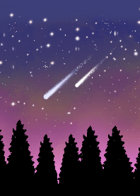 meteor night