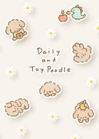 beige Daisy and Toy Poodle 03_2