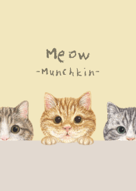 Meow - Munchkin - CREAM YELLOW