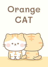 Orange cat so cute!