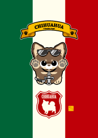 Chihuahua, chocolate and tan.