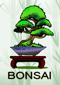 盆栽(BONSAI)