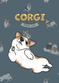 corgicorgi8 / dark steel blue
