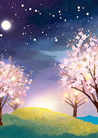Beautiful night cherry blossoms#864