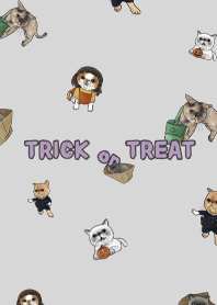 meow's halloween3 - light grey