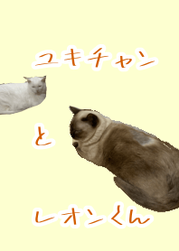 Yuki-chan & Leon-kun