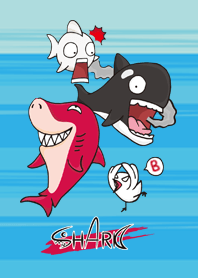 Mr.Shark