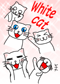 It is the third white cat.